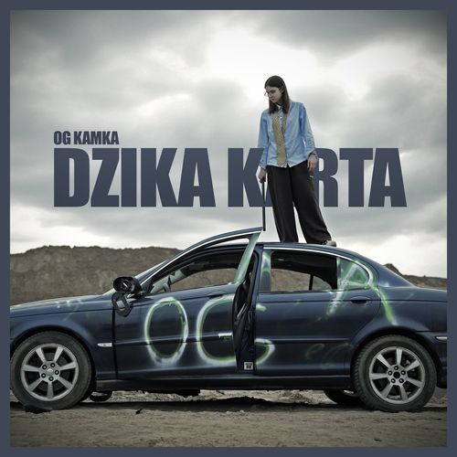 DZIKA KARTA cover art