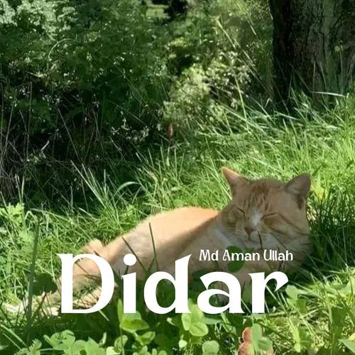 Didar