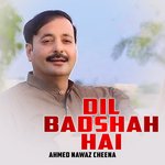 Dil Badshah Hai