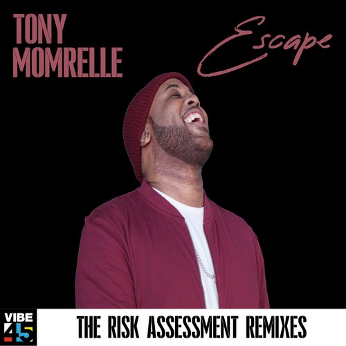 Escape (The Risk Assessment Remixes)_poster_image