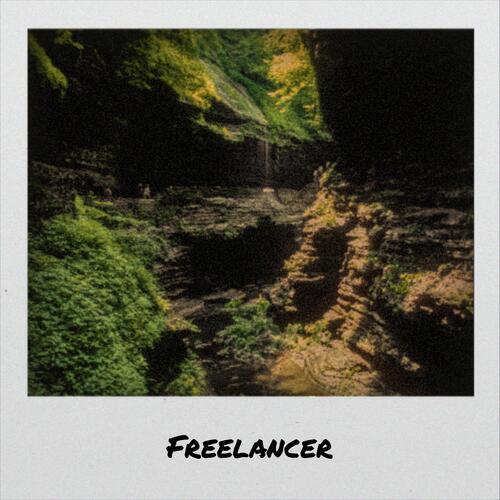 Freelancer