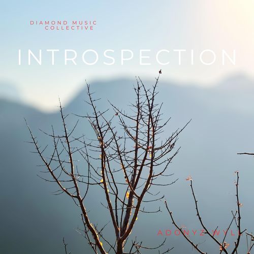 INTROSPECTION