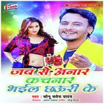 Jab Se Anar Kachnar Bhail Chhauri Ke