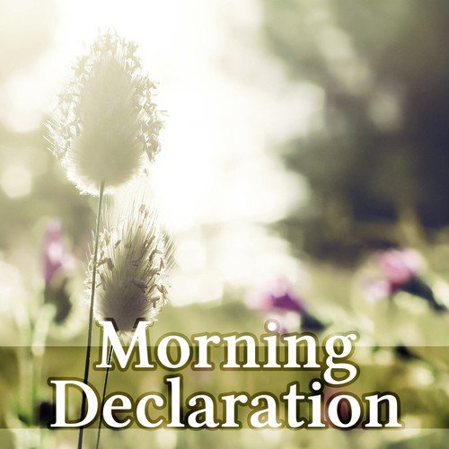 Morning Declaration - Good Day with Relaxing Sounds & Sounds of Nature, Calm Background Music for Reduce Stress the Body & Mind, Wake Up, Positive Attitude to the World, Morning Coffee, Yoga