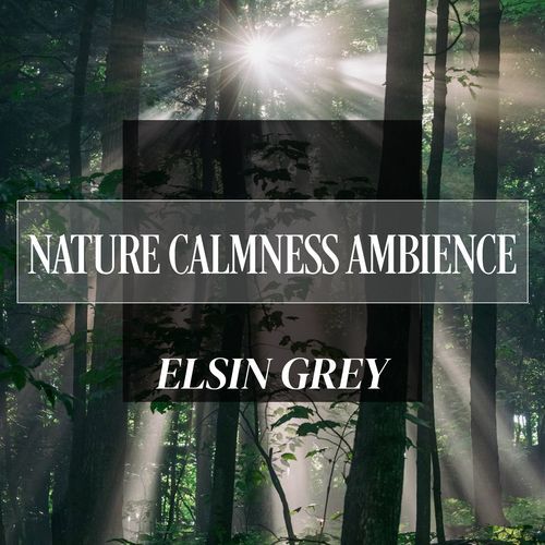 Nature Calmness Ambience