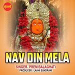 Nav Din Mela