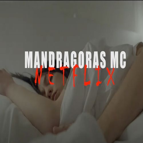 Netflix_poster_image