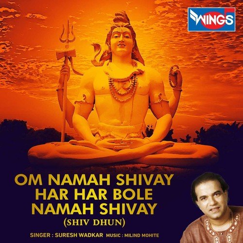 Om Namah Shivay Har Har Bole Namah Shivay (Shiv Dhun)