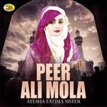 Nabi Di Aj Saalgira Ae artwork