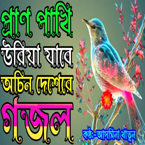 Pran Pakhi Oriya Zabe Ocin Desere