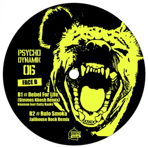 Psychodynamik 06