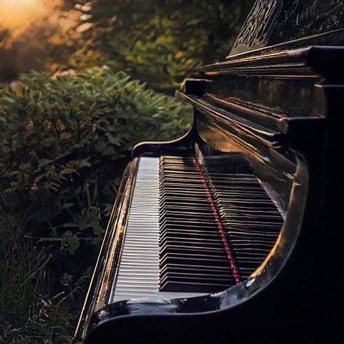 Reflexiones Calmadas De Piano: Música Para Meditación