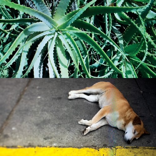 These problems are multiplied by the difficulty I have in front of a tape recorder