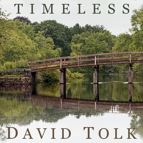 Timeless (feat. Steven Sharp Nelson) cover art