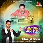 Toomba Sai De Pyar Da