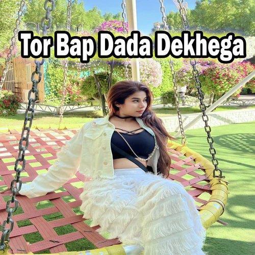 Tor Bap Dada Dekhega