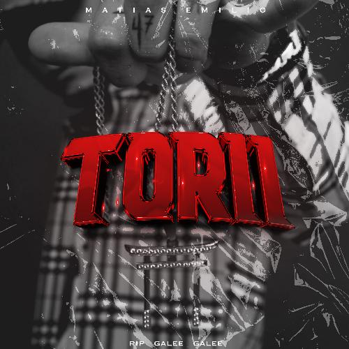 Torii_poster_image