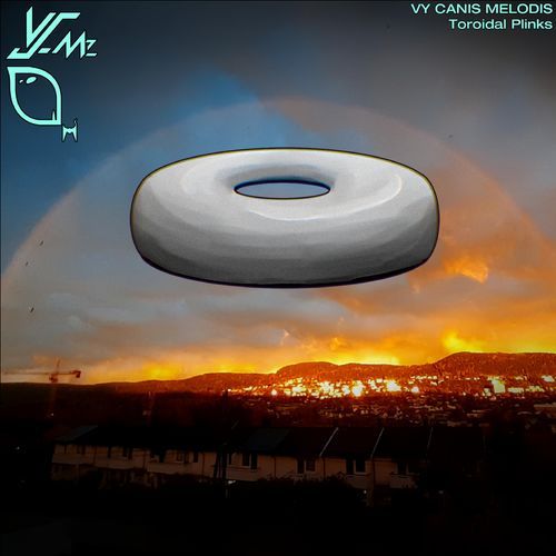 Toroidal Plinks
