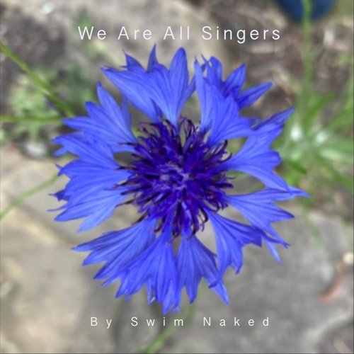 Logical Silence cover art