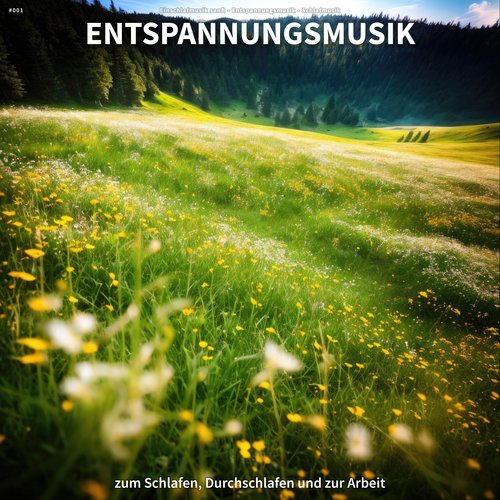 Entspannungsmusik cover art