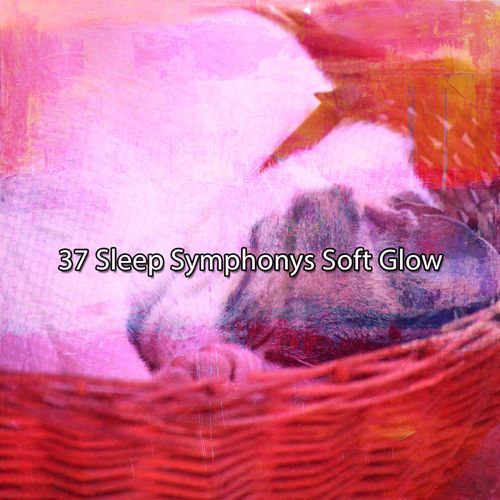 37 Sleep Symphonys Soft Glow_poster_image