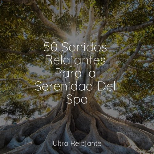 50 Melodías Para Dormir y Relajarse_poster_image