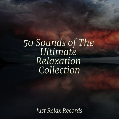 50 Sounds of The Ultimate Relaxation Collection