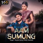 Aam Sumung artwork