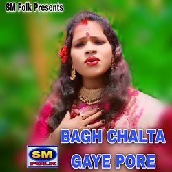 BAGH CHALTA GAYE PORE-PREtfDp9Dlk