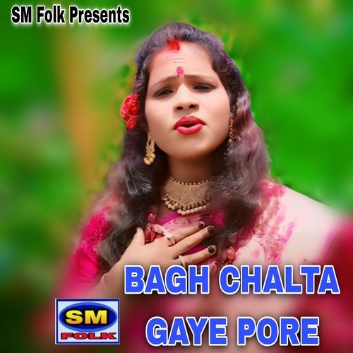 BAGH CHALTA GAYE PORE