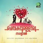 Chembakamulloru Nattil