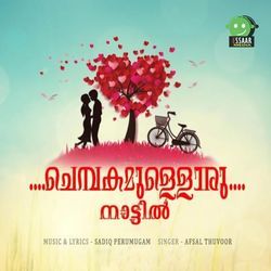 Chembakamulloru Nattil