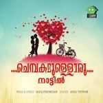 Chembakamulloru Nattil