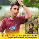 DJ प पलेटा खाव छ मारी नागिन बण गी ज्यान
