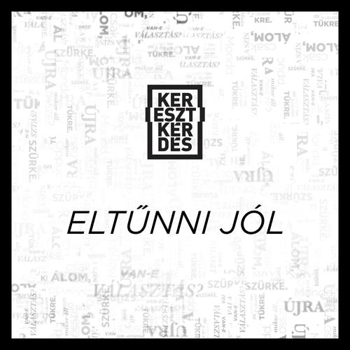 Eltűnni jól cover art