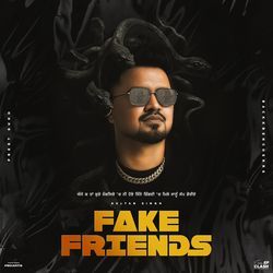 FAKE FRIENDS