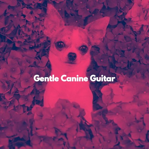 Gentle Canine Guitar