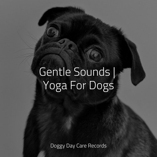 Gentle Sounds | Yoga For Dogs_poster_image