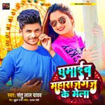 Ghumaib Maharajganj Ke Mela