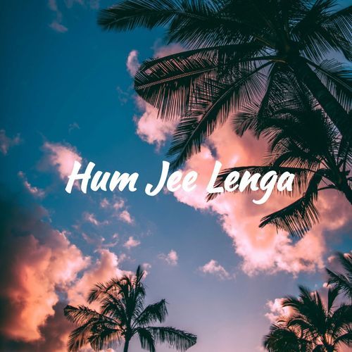 Hum Jee Lenge_poster_image