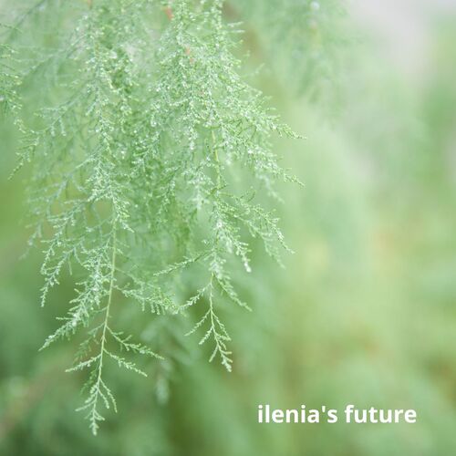 Ilenia&#039;s future_poster_image