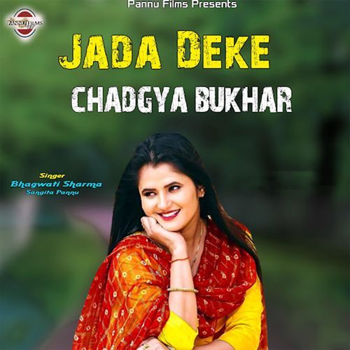 Jada Deke Chadgya Bukhar (lofi remix)