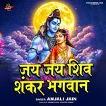 Jai Jai Shiv Shankar Bhagwan