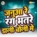 Janua Re Ab Rang Bhatare Dali Choli Mein