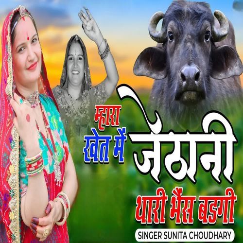 Mhara Khet m Jethani thari Bhains Badgi