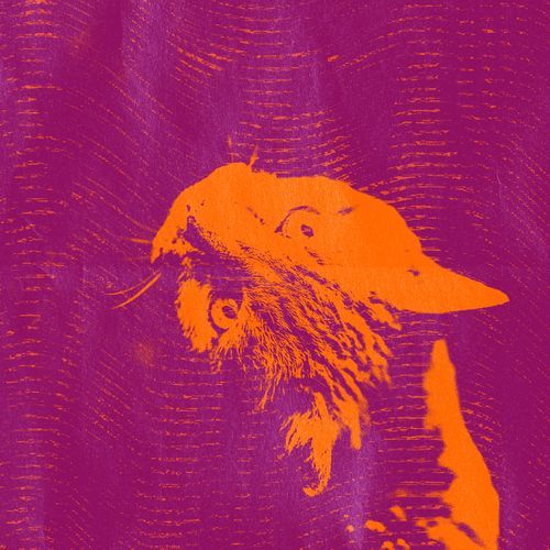 NENI cover art