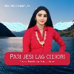 Pari jesi lag chhori