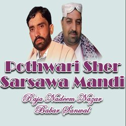 Pothwari Sher Sarsawa Mandi-FkUYdRt8f2o