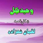 Qessa Luqmaan Shezada, Pt. 1 artwork