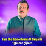 Raza Che Dromo Dwanra Di Dunya Na